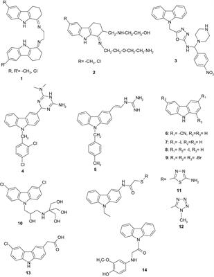 Repurposing anti-inflammatory drugs for fighting planktonic and biofilm growth. New carbazole derivatives based on the NSAID carprofen: synthesis, in silico and in vitro bioevaluation